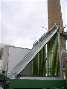 Greenfuel_huile_algues_3.jpg