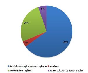 Terres-agricoles.JPG
