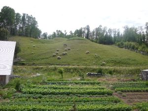 jardin_greb.jpg